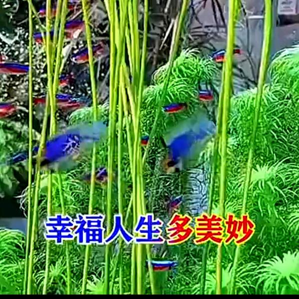 香水