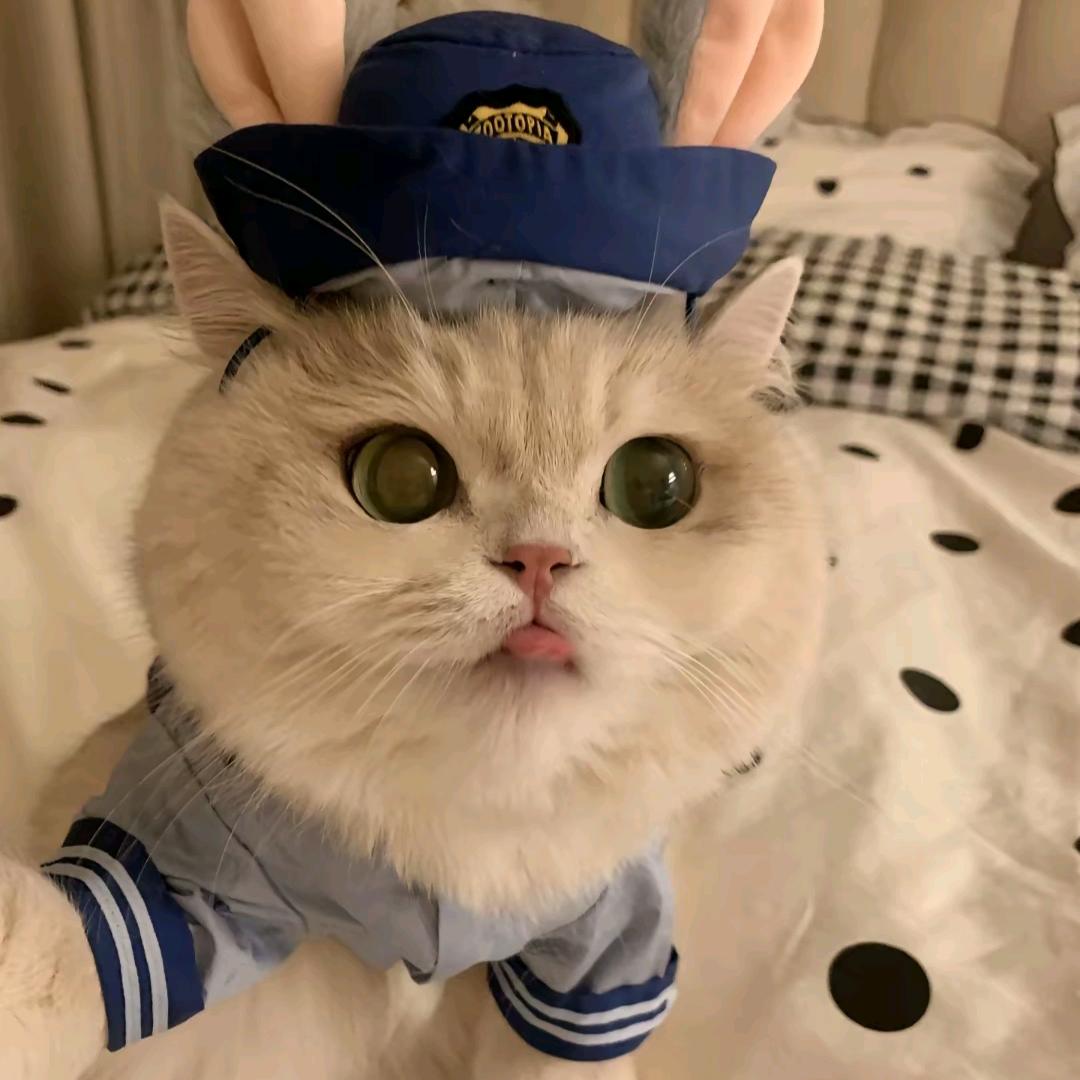 草莓味小土豆