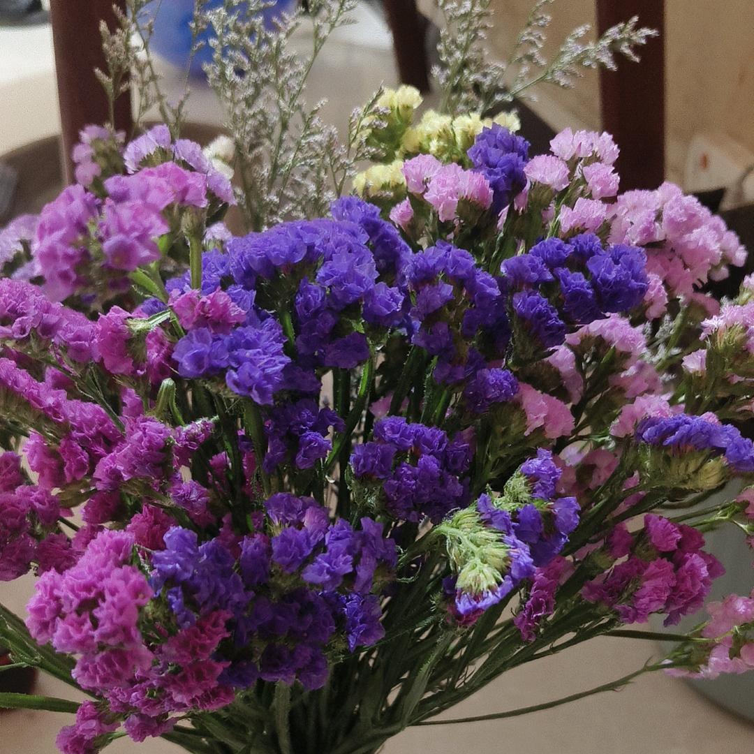 ღ᭄微笑💕前行დ᭄