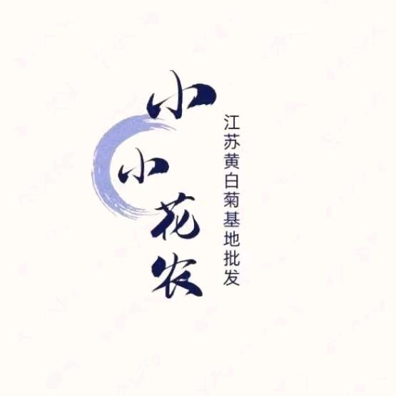 小小花农（江苏基地黄白菊批发-全国直发）