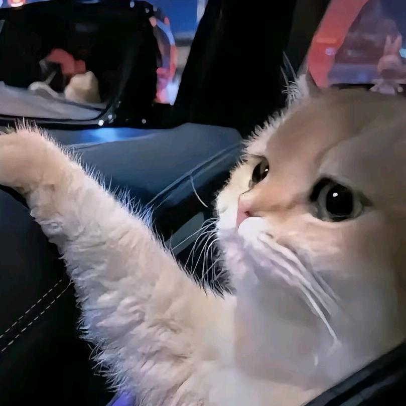 羊大师鲜羊奶订购凌总