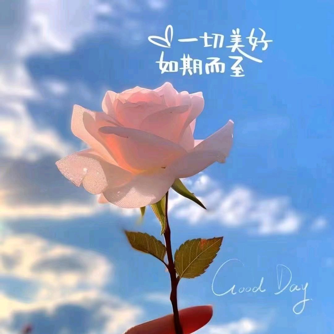龙老师