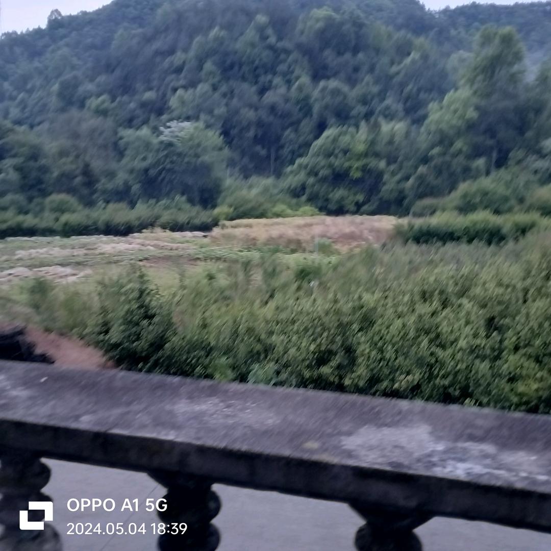 pppok123456789014736