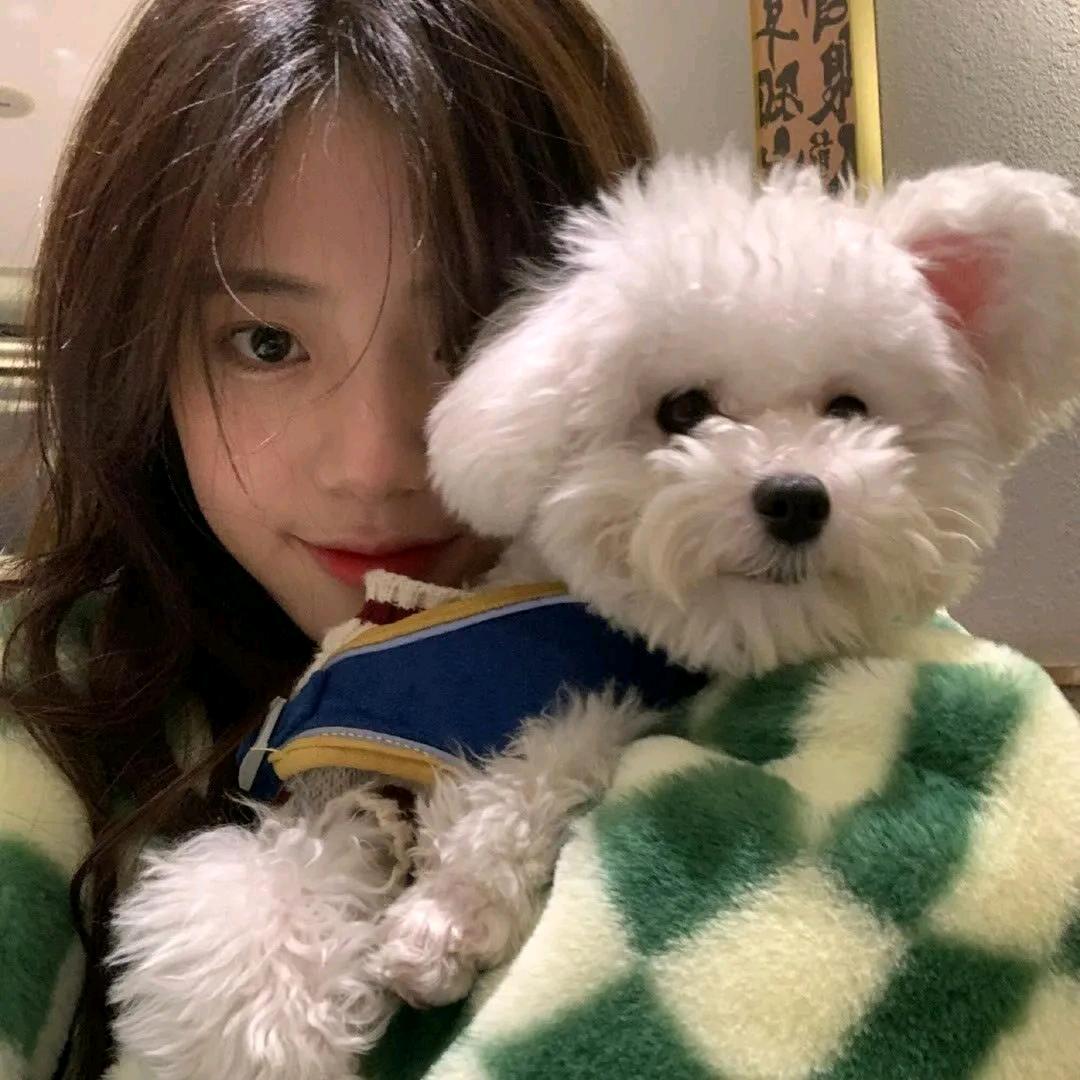 点点的奶茶要全糖（见过源2.0）