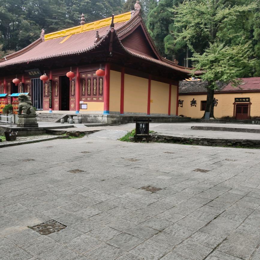 天若有情