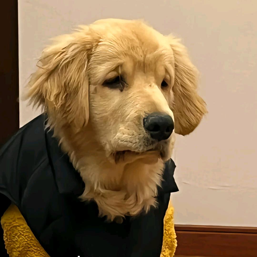 ^洛