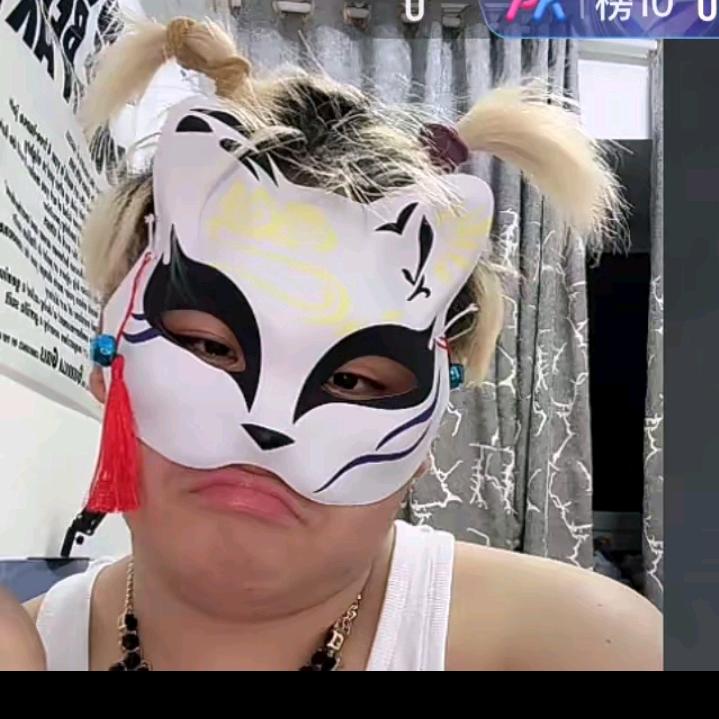梅狸猫