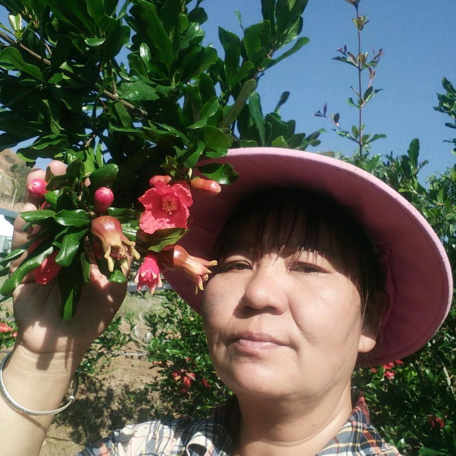 张家姐姐