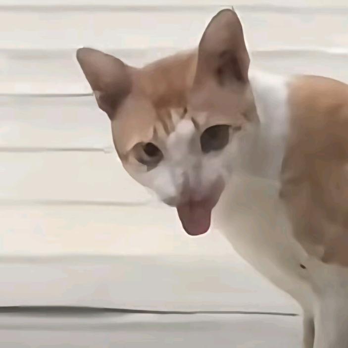小狗🐶