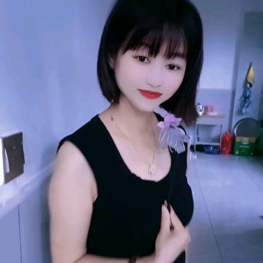 雨蝶