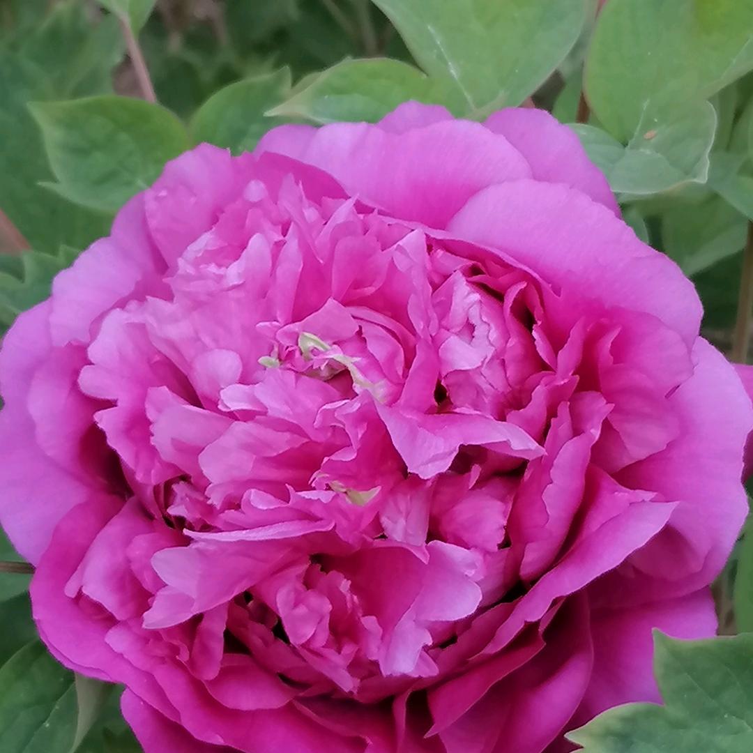 每段路都是一种领悟(美好明天)