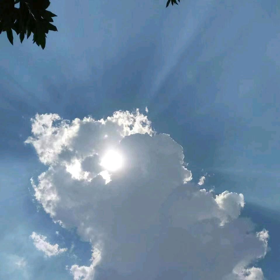 木米