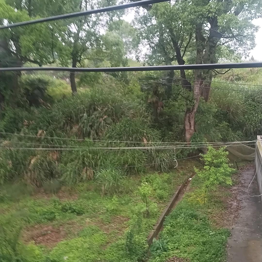 永新（小孩父母）核心教育