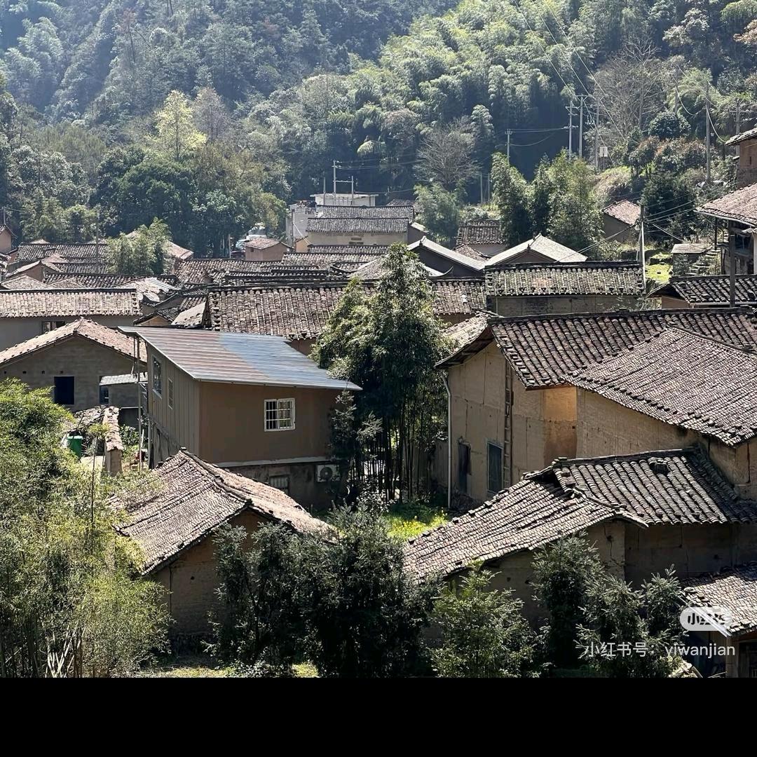 云南/淞宣洛科技有限公司