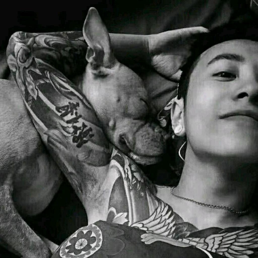 贵阳最有种的男人⚜️