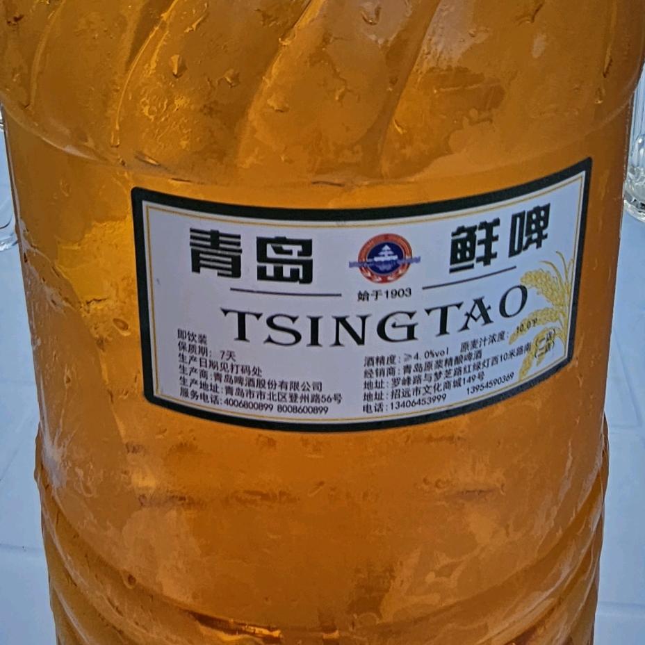 与月同行