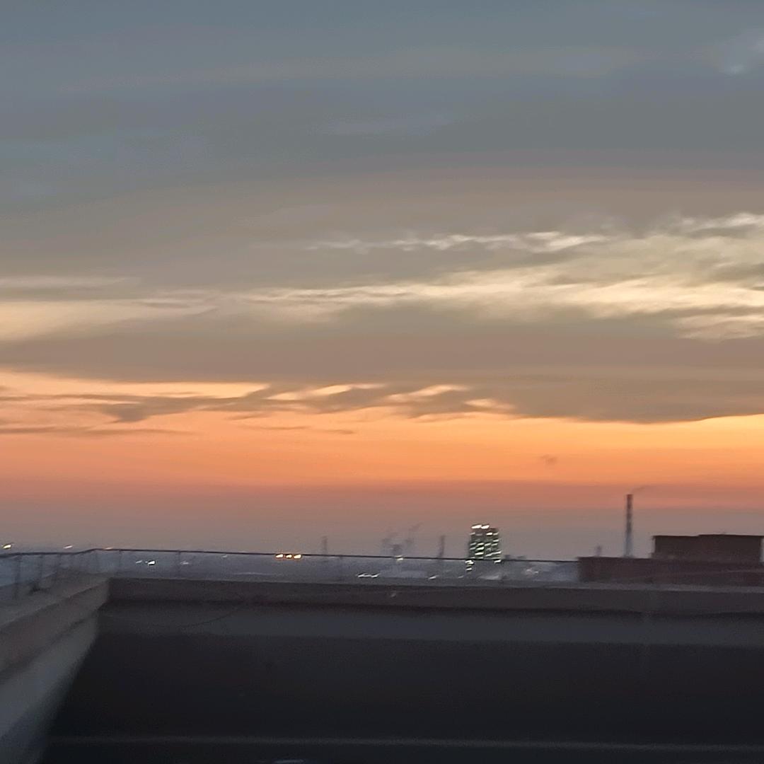 棼棼