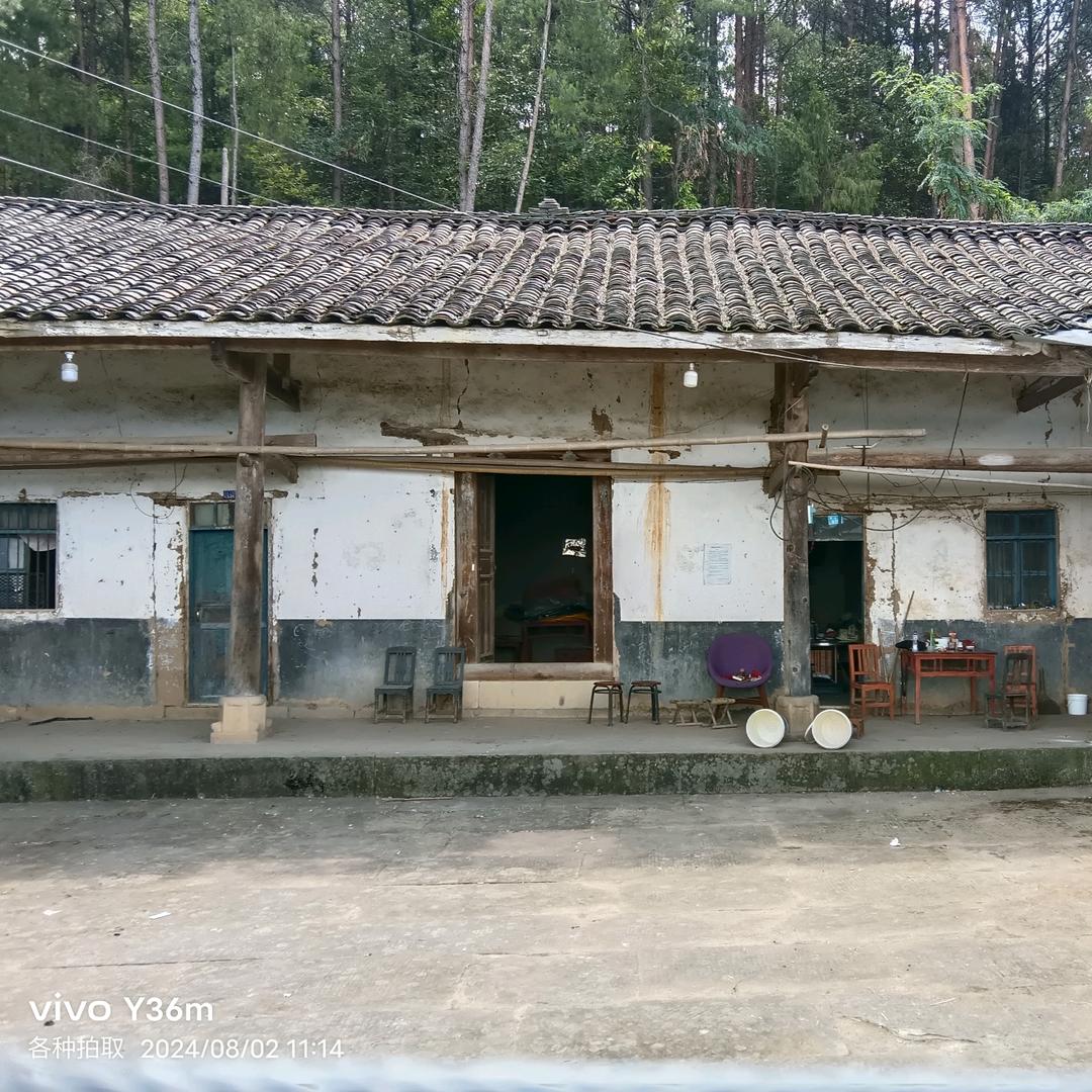 四川：努力奋斗……👫