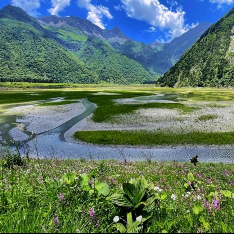 虎牙平哥土特产