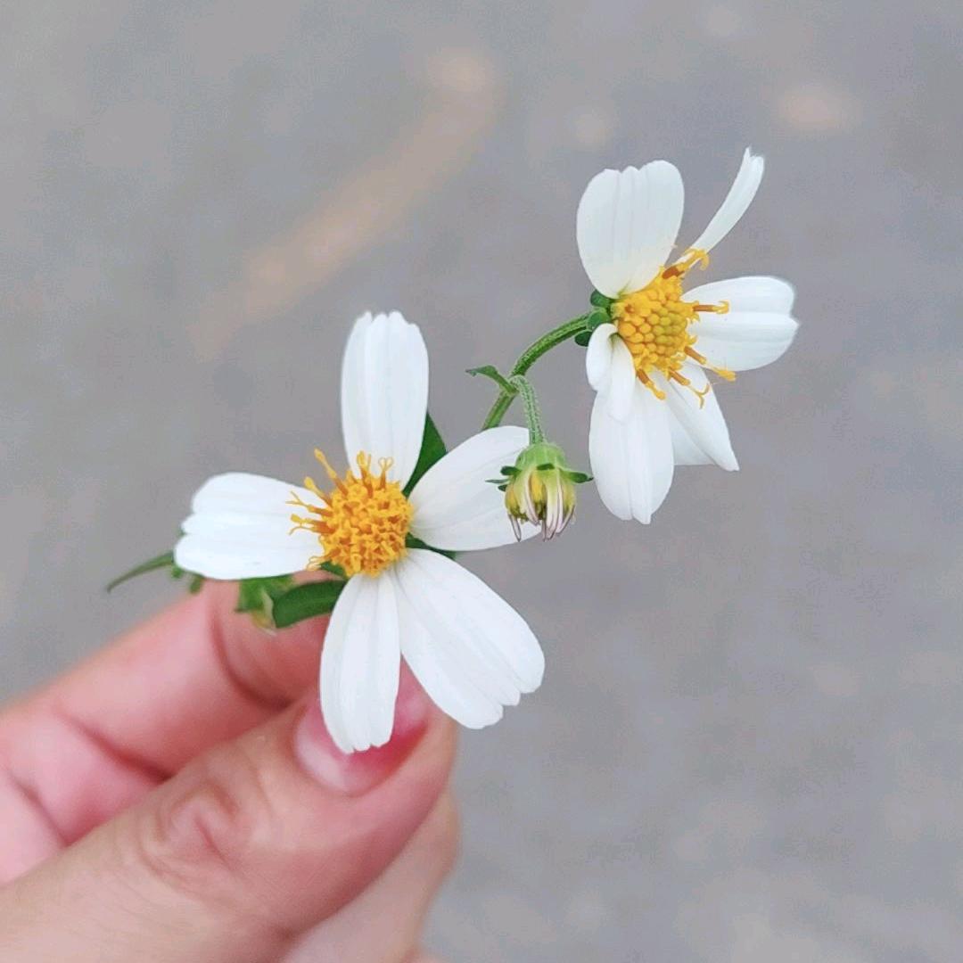 ℳ💗ᩚꦿ一如ꦿ纪往ꦿ¹³¹⁴
