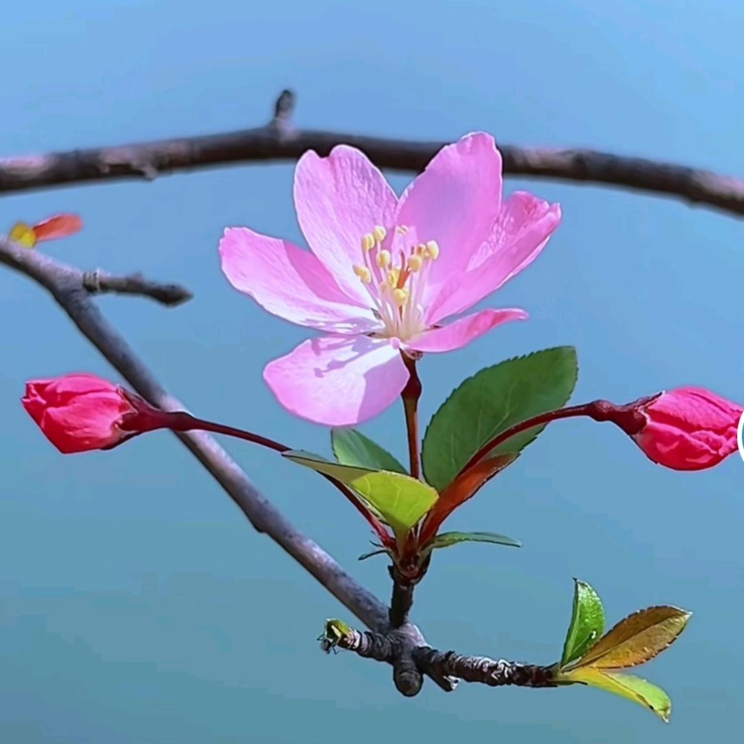 幸福密码667