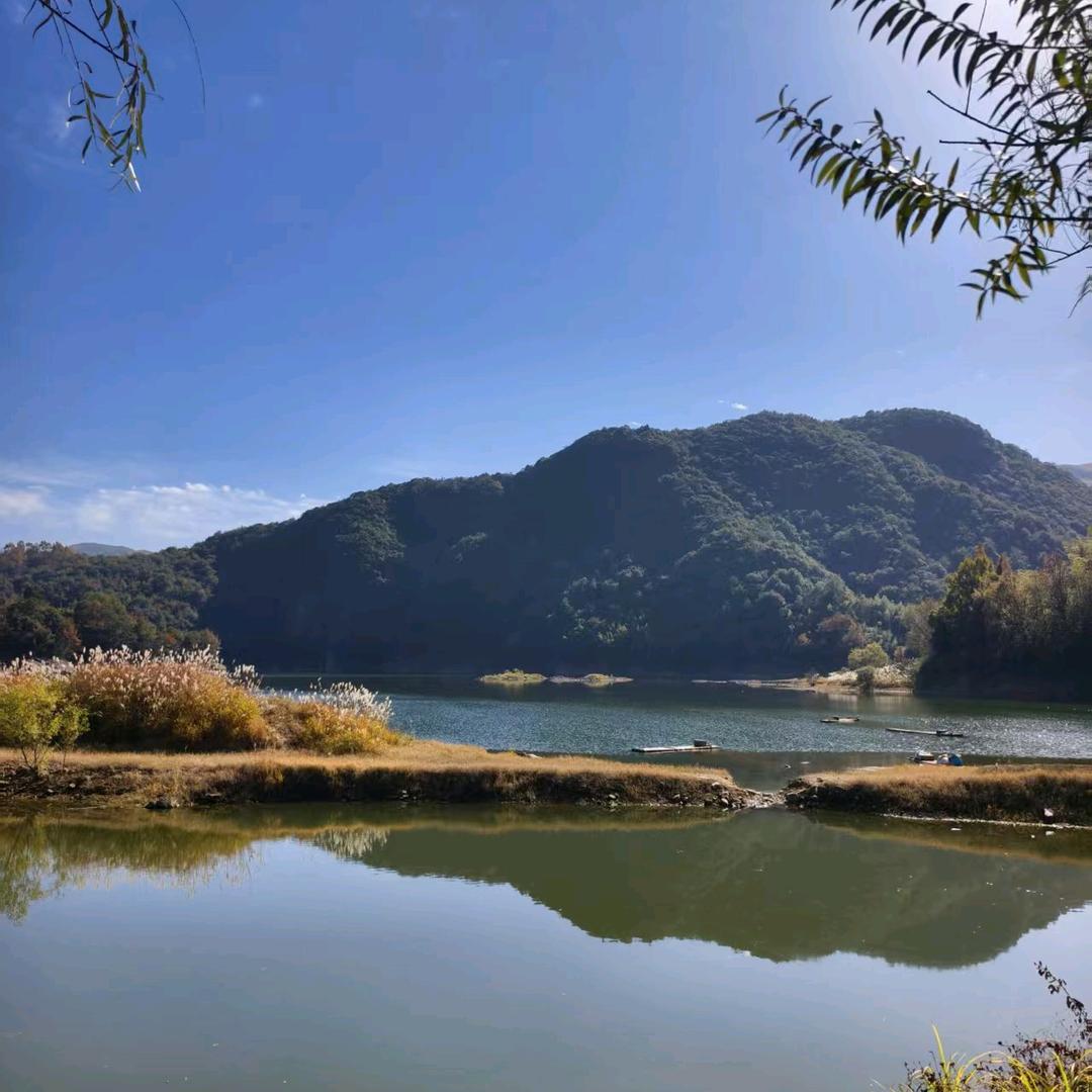 A上海亮蕤电抗器