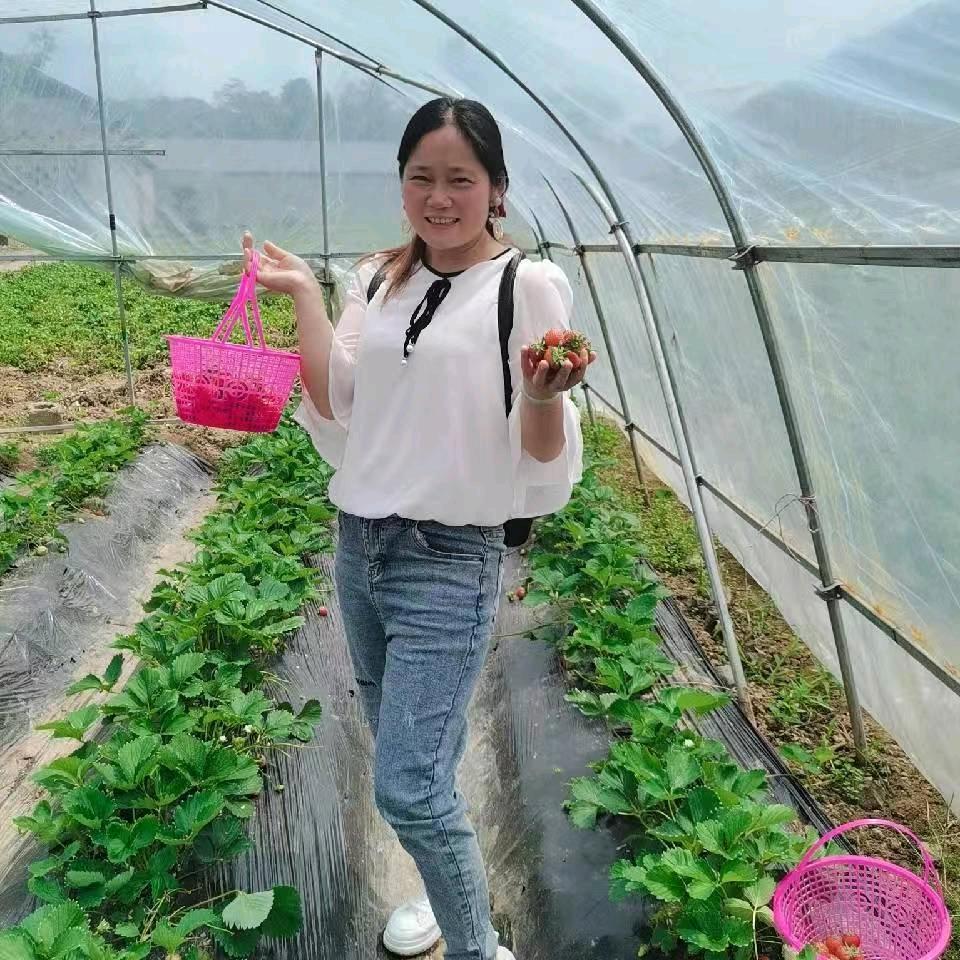 山里姑娘