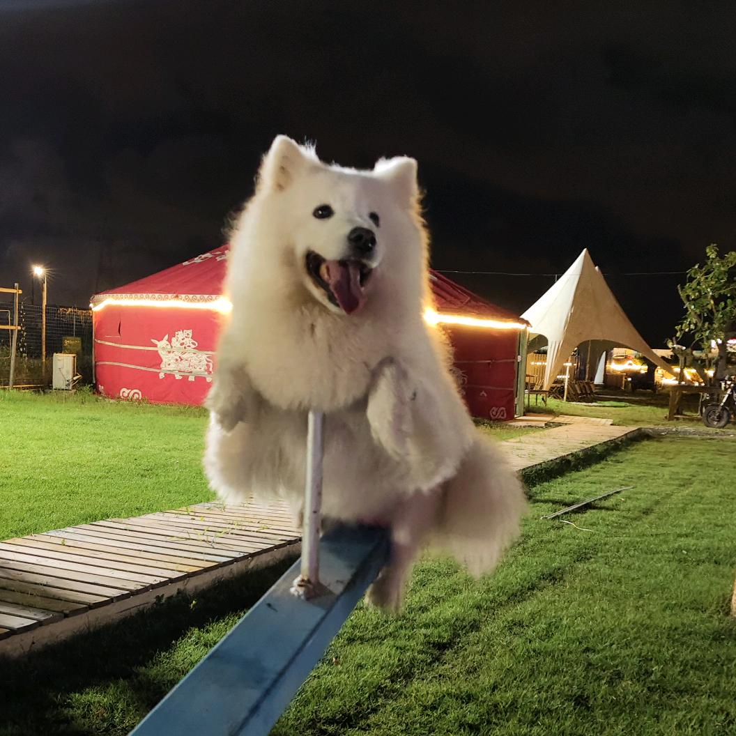 yoyo的朋友圈