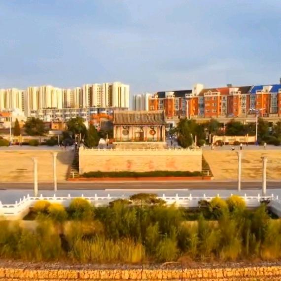 大风吹倒梧桐树