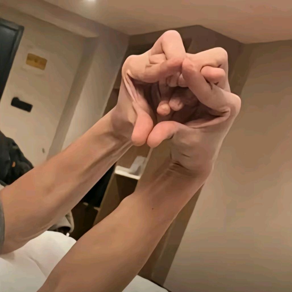 毋庸置疑