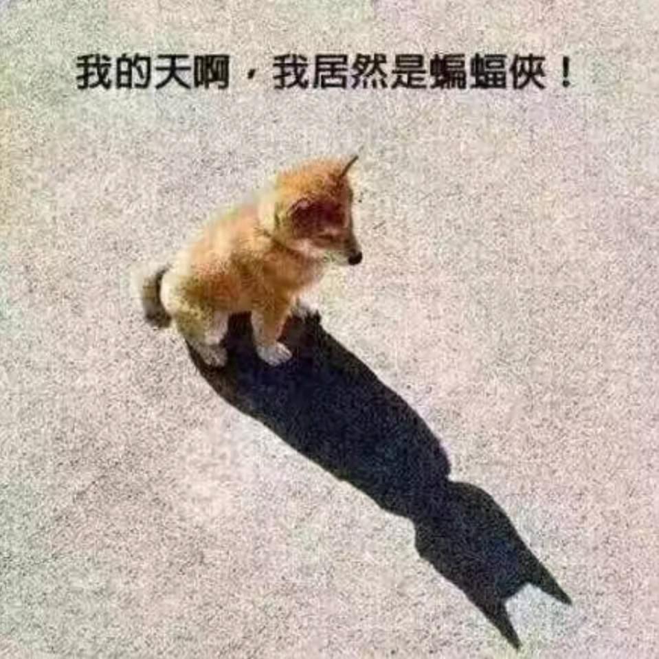 吕大侠133