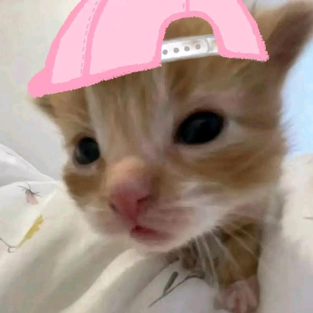 小悔
