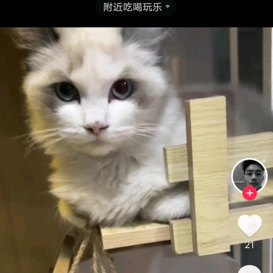 蝴蝶💋👫为花醉