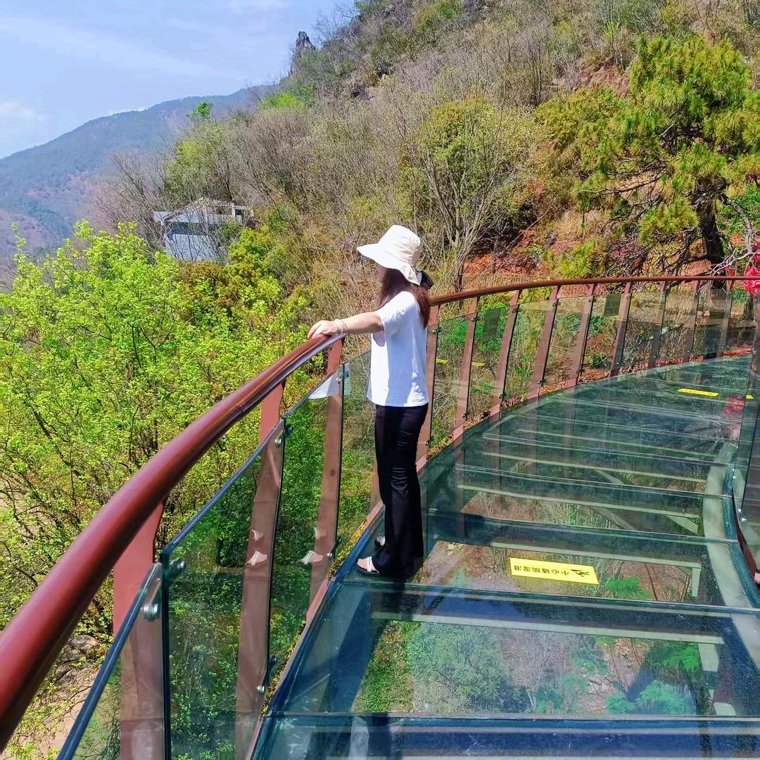 💫有李🍒讲不清💫