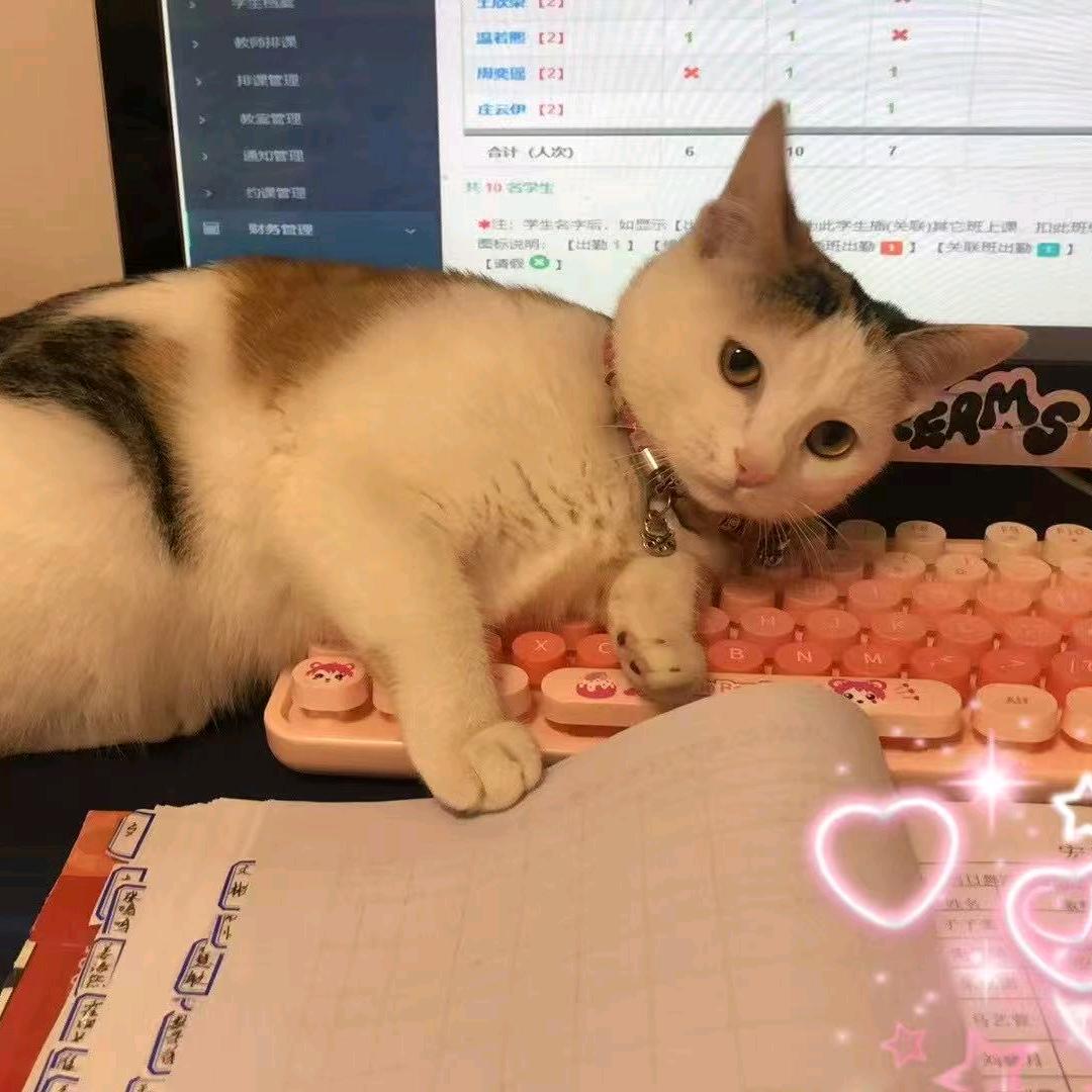 请多多柚惑