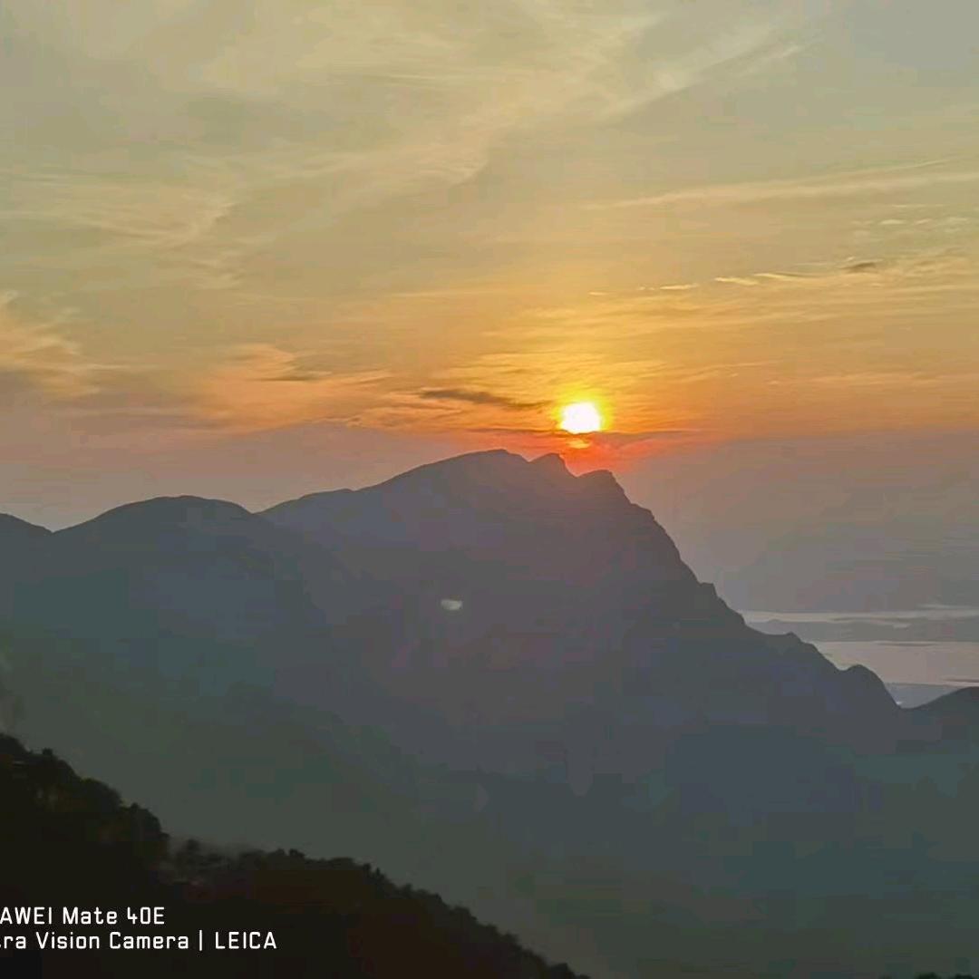 西伯利亚狼🇨🇳