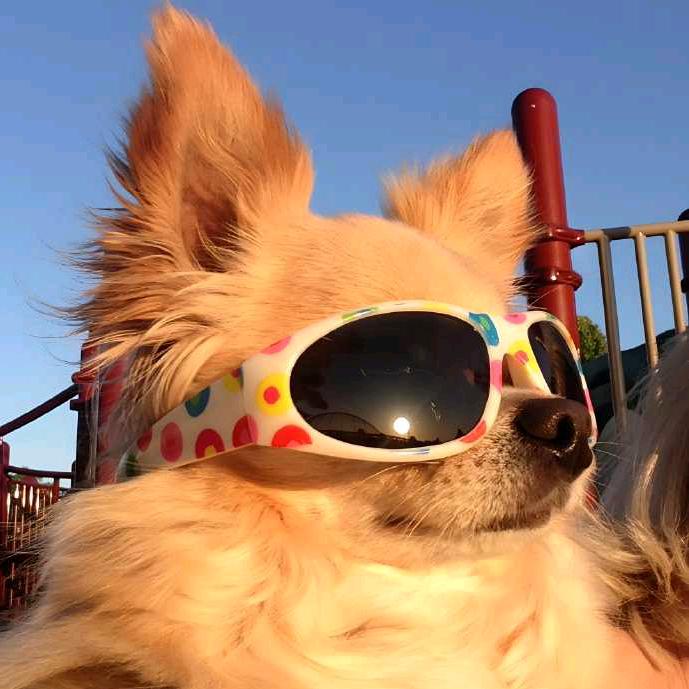 或许是个好名字