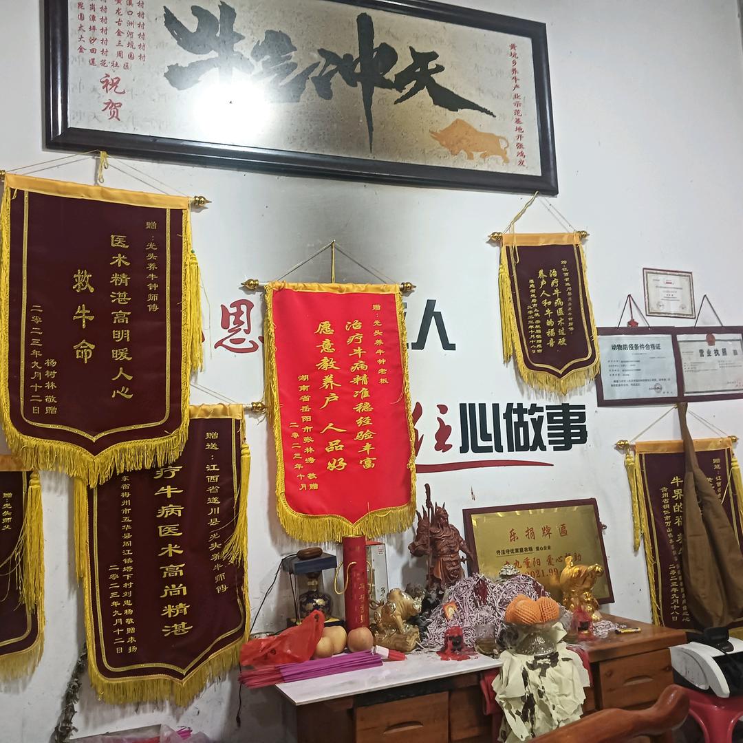 光头养牛