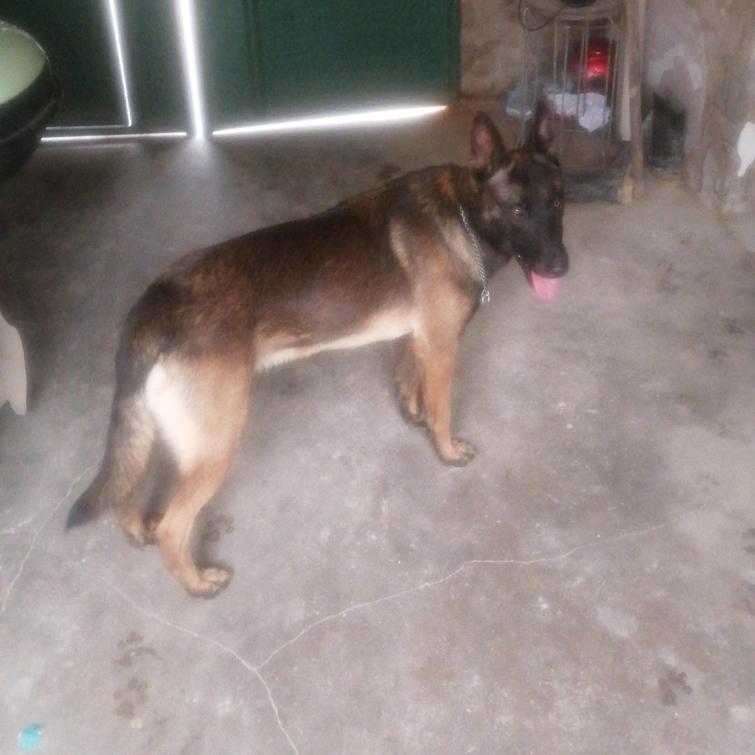 一生只为了等你！