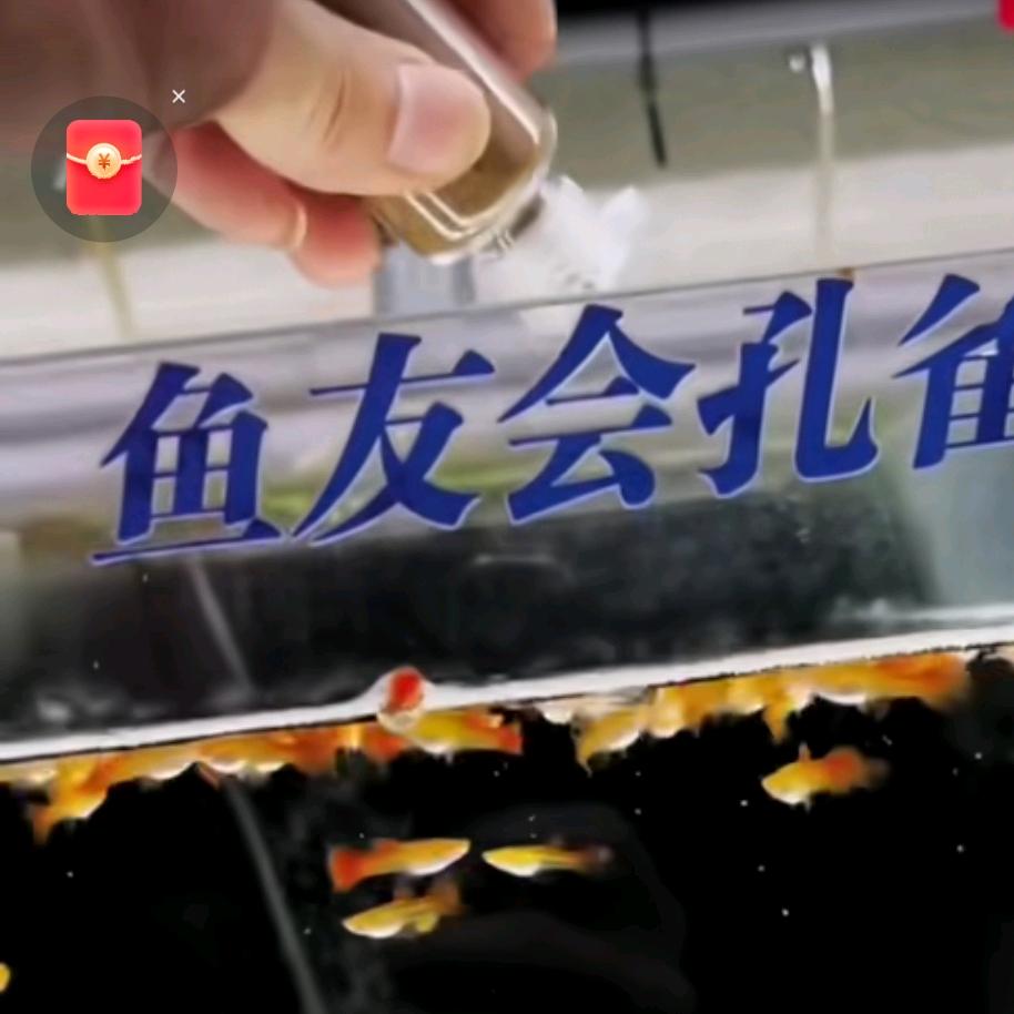 花云朵1:38