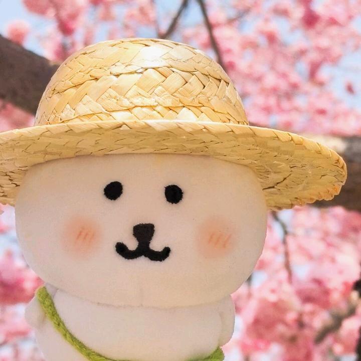 追旧忆.