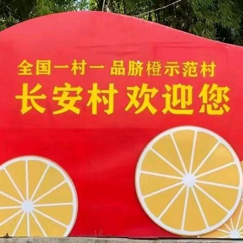 人信物丰鲜果铺