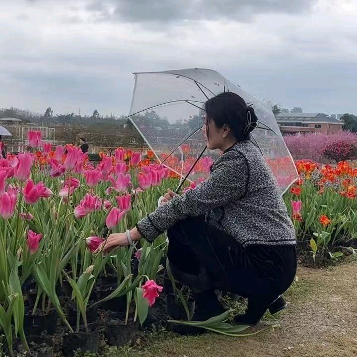 曹曹的曹