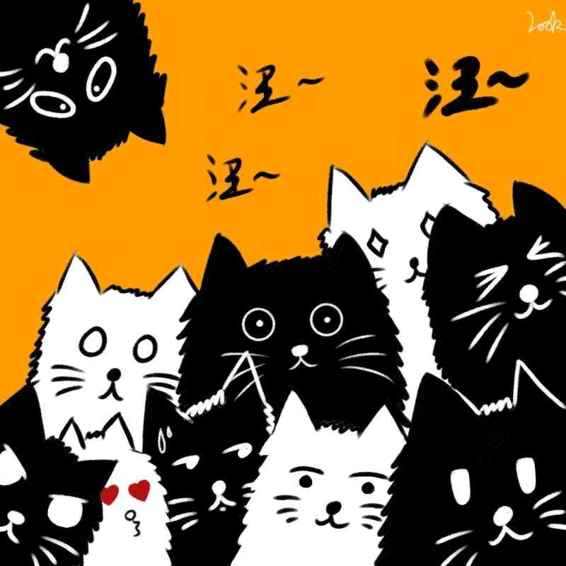 小傲娇(ﾉ"◑ڡ◑)ﾉ"