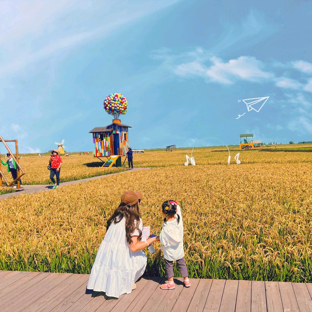 🌸丸子丸子饭团饭团丸子饭团dan.