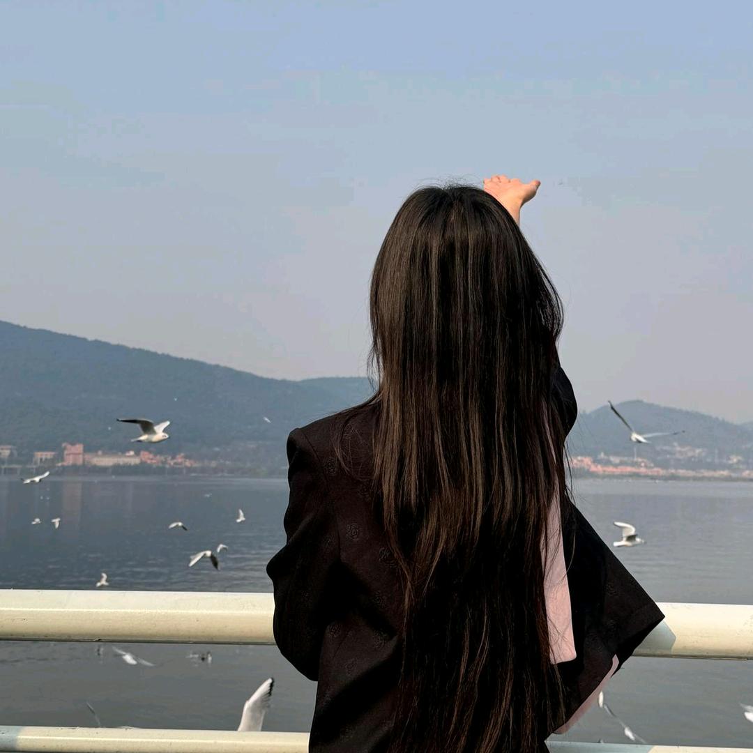 🍀🌺风雨彩虹