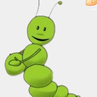毛🐛毛🐛虫