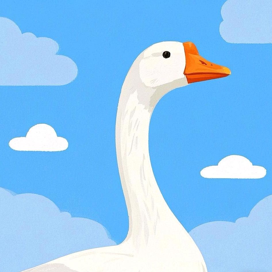 小晨爱玩小游戏