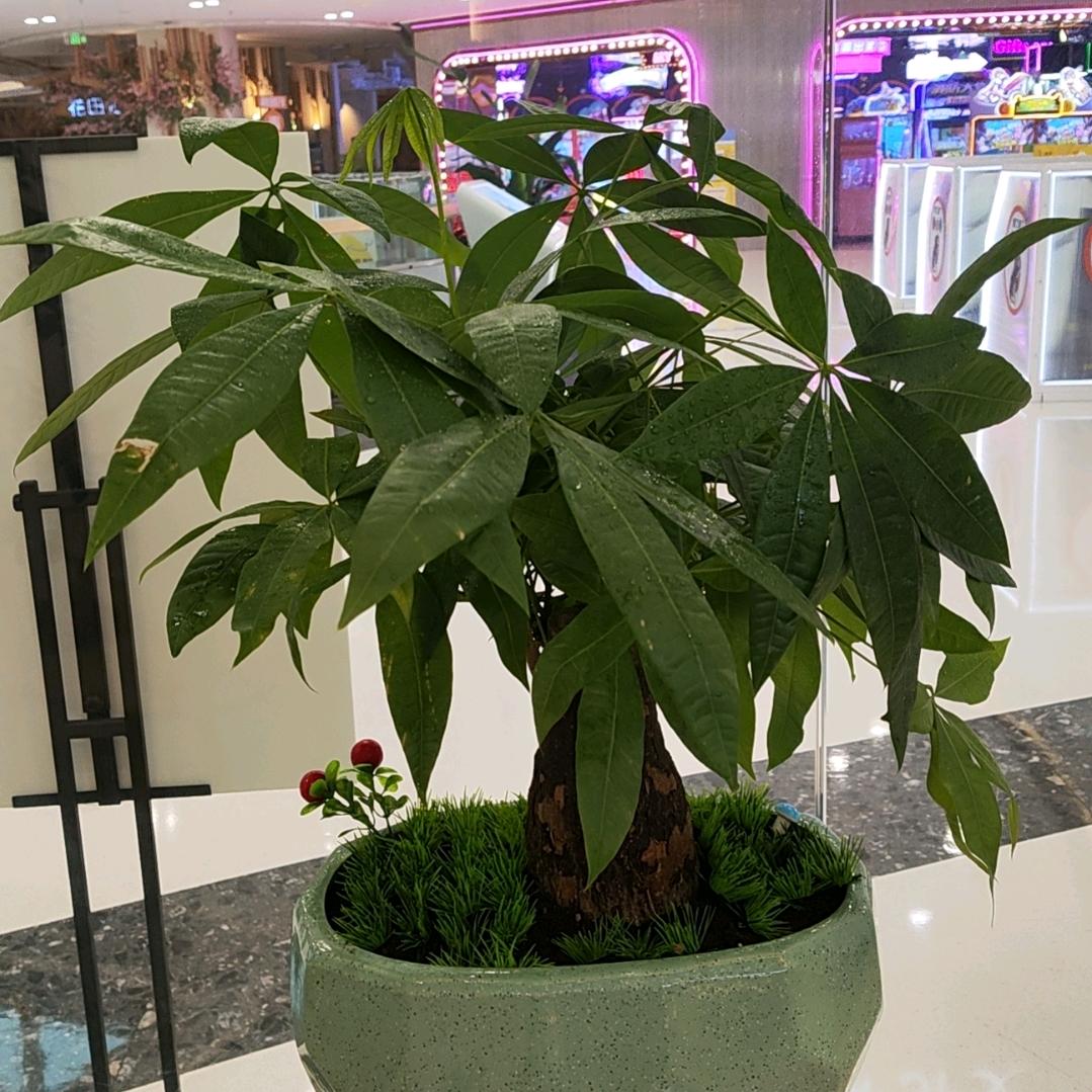 @情感永恒