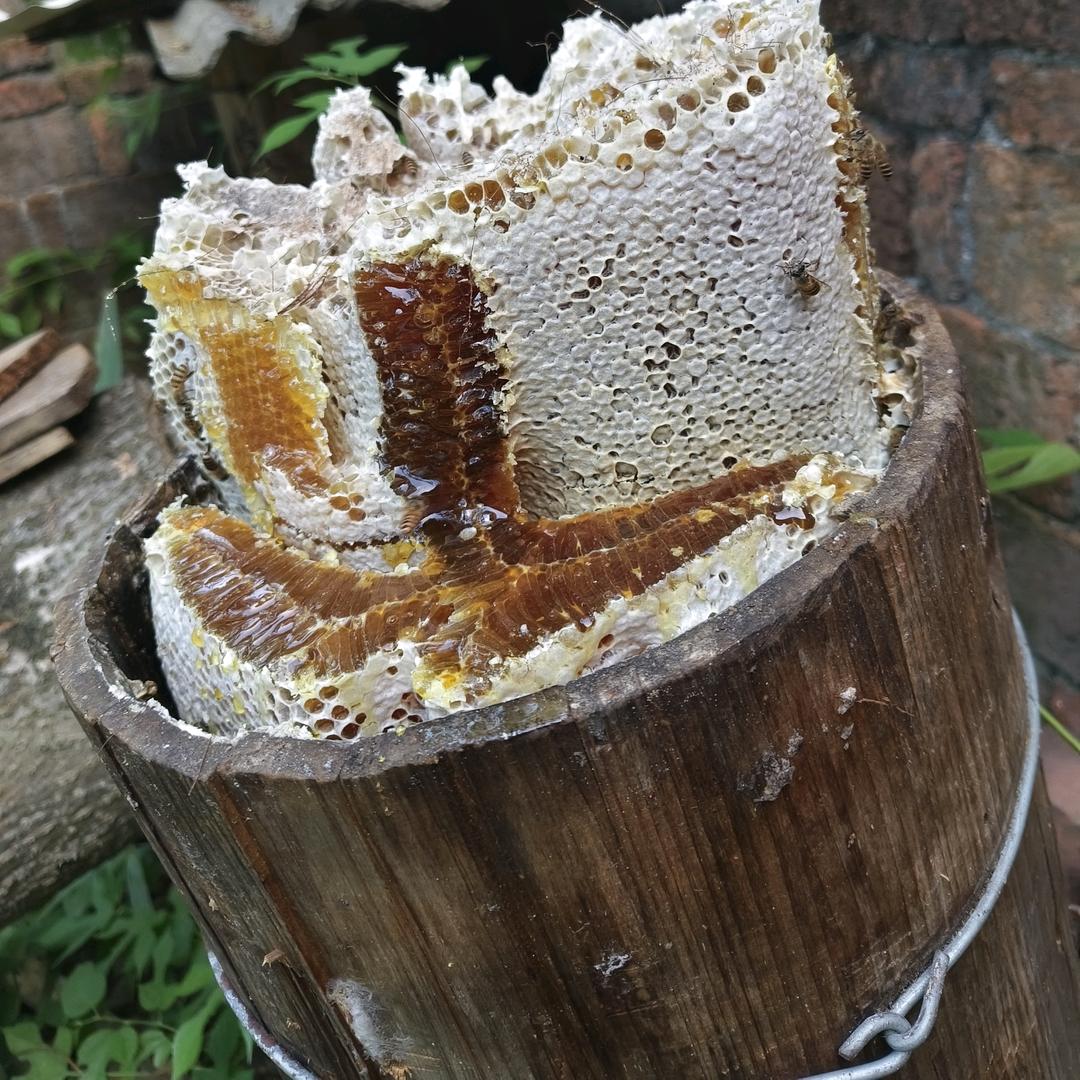 水平养蜂